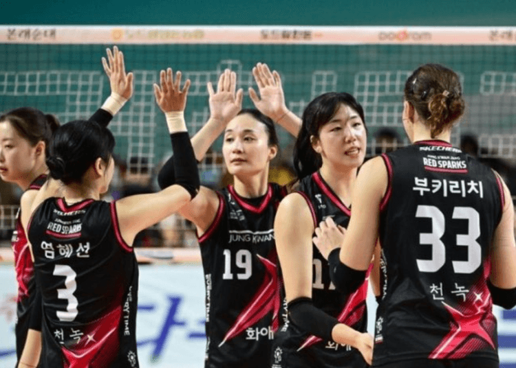 Klasemen Liga Voli Putri Korea