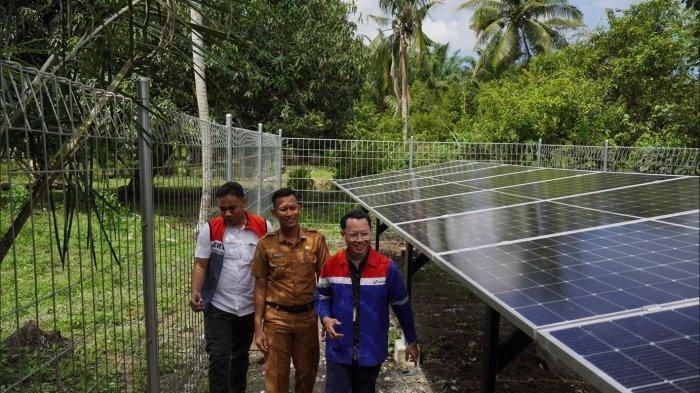 Budidaya Ikan Nila Kolam Terpal