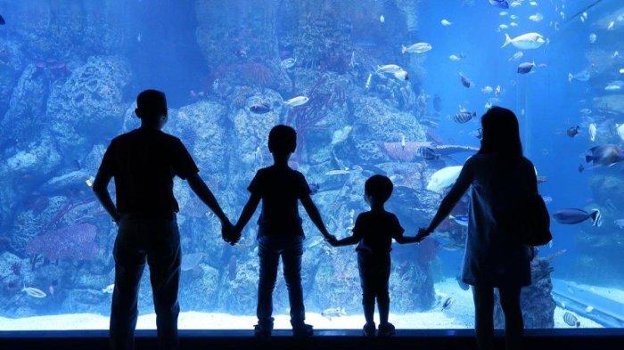 Jakarta Aquarium